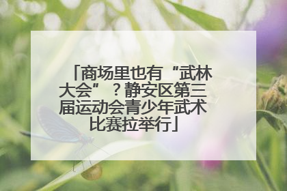 商场里也有“武林大会”？静安区第三届运动会青少年武术比赛拉举行