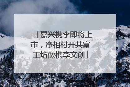 嘉兴槜李即将上市，净相村开共富工坊做槜李文创