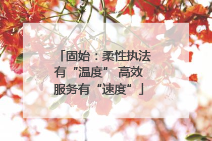 固始：柔性执法有“温度” 高效服务有“速度”