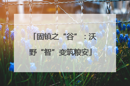 固镇之“谷”：沃野“智”变筑粮安