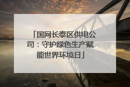 国网长泰区供电公司：守护绿色生产赋能世界环境日