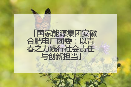 国家能源集团安徽合肥电厂团委：以青春之力践行社会责任与创新担当