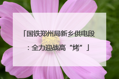国铁郑州局新乡供电段：全力迎战高“烤”