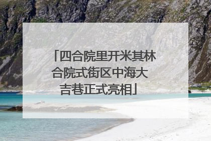 四合院里开米其林 合院式街区中海大吉巷正式亮相