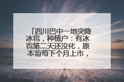 四川巴中一地突降冰雹，种植户：有冰雹第二天还没化，原本葡萄下个月上市，现在全被打落