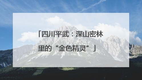 四川平武：深山密林里的“金色精灵”
