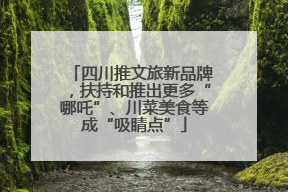 四川推文旅新品牌，扶持和推出更多“哪吒”、川菜美食等成“吸睛点”