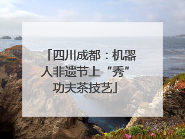 四川成都：机器人非遗节上“秀”功夫茶技艺
