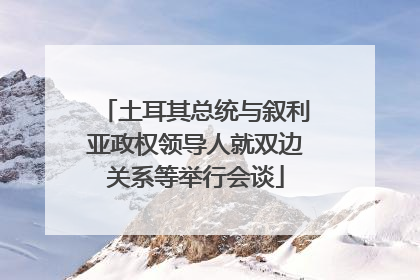 土耳其总统与叙利亚政权领导人就双边关系等举行会谈