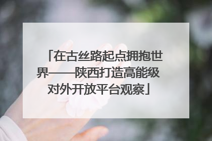 在古丝路起点拥抱世界——陕西打造高能级对外开放平台观察