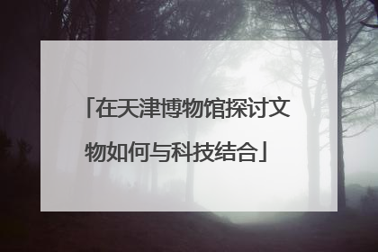 在天津博物馆探讨文物如何与科技结合