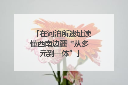 在河泊所遗址读懂西南边疆“从多元到一体”