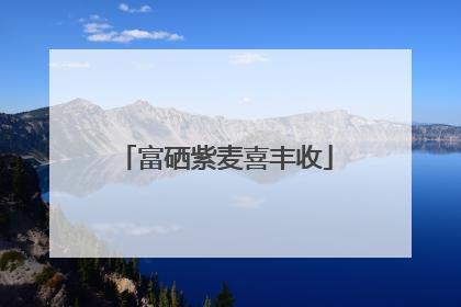 富硒紫麦喜丰收