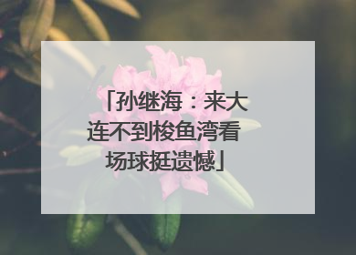 孙继海：来大连不到梭鱼湾看场球挺遗憾