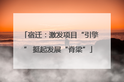 宿迁：激发项目“引擎” 挺起发展“脊梁”