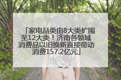家电品类由8大类扩围至12大类！济南各领域消费品以旧换新直接带动消费157.2亿元