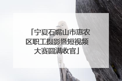 宁夏石嘴山市惠农区职工摄影暨短视频大赛圆满收官
