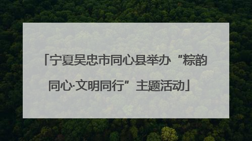 宁夏吴忠市同心县举办“粽韵同心·文明同行”主题活动