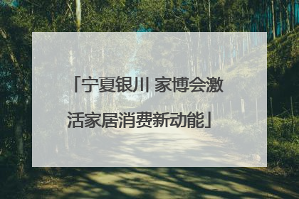 宁夏银川 家博会激活家居消费新动能