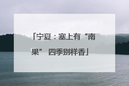 宁夏：塞上有“南果” 四季别样香