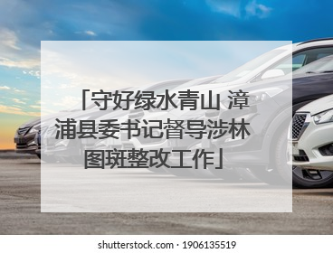 守好绿水青山 漳浦县委书记督导涉林图斑整改工作