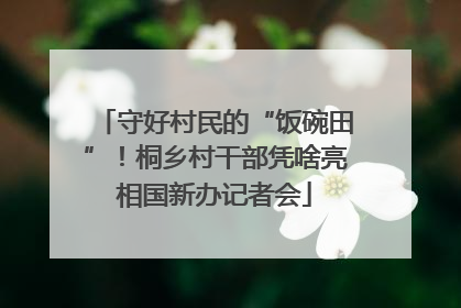 守好村民的“饭碗田”！桐乡村干部凭啥亮相国新办记者会