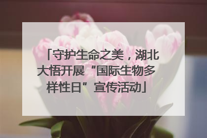 守护生命之美，湖北大悟开展“国际生物多样性日”宣传活动