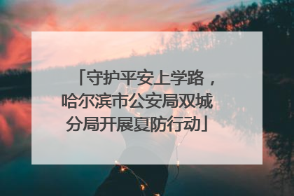守护平安上学路，哈尔滨市公安局双城分局开展夏防行动