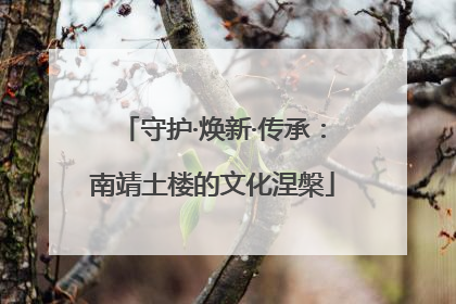 守护·焕新·传承：南靖土楼的文化涅槃
