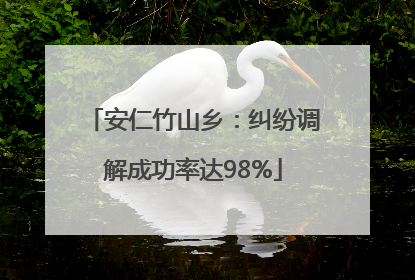 安仁竹山乡：纠纷调解成功率达98%