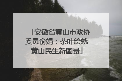安徽省黄山市政协委员俞娟：茶叶绘就黄山民生新图景