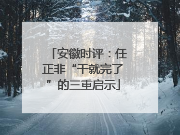 安徽时评：任正非“干就完了”的三重启示