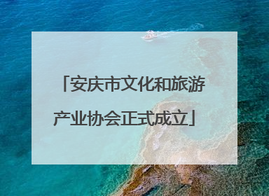 安庆市文化和旅游产业协会正式成立