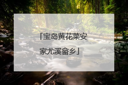 宝岛黄花菜安家尤溪畲乡