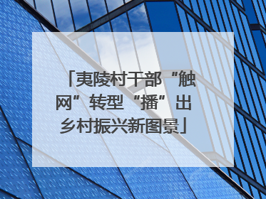 夷陵村干部“触网”转型“播”出乡村振兴新图景