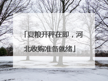夏粮开秤在即，河北收购准备就绪