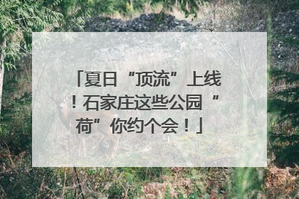 夏日“顶流”上线！石家庄这些公园“荷”你约个会！