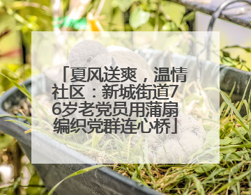 夏风送爽，温情社区：新城街道76岁老党员用蒲扇编织党群连心桥