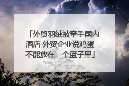 外贸羽绒被牵手国内酒店 外贸企业说鸡蛋不能放在一个篮子里