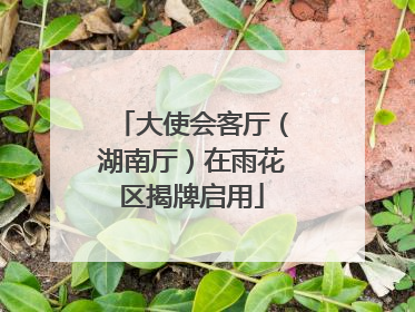 大使会客厅（湖南厅）在雨花区揭牌启用
