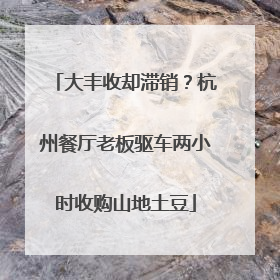 大丰收却滞销？杭州餐厅老板驱车两小时收购山地土豆