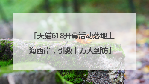 天猫618开幕活动落地上海西岸，引数十万人到访