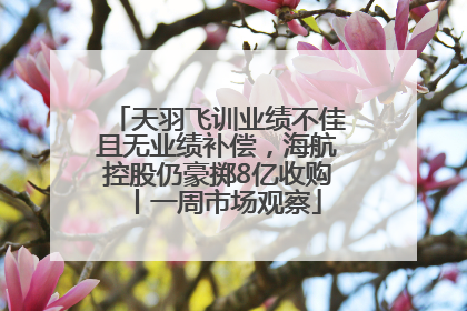 天羽飞训业绩不佳且无业绩补偿，海航控股仍豪掷8亿收购丨一周市场观察