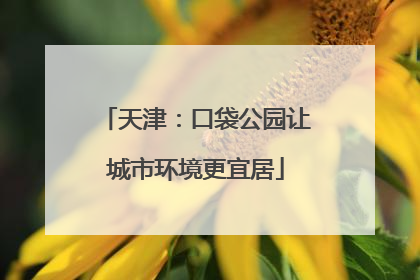 天津：口袋公园让城市环境更宜居