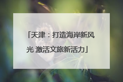 天津：打造海岸新风光 激活文旅新活力