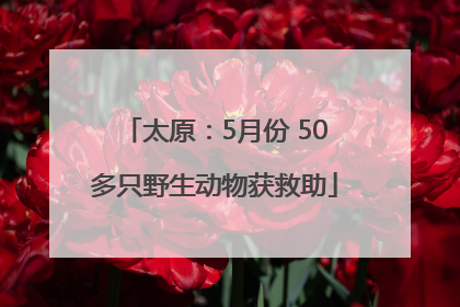 太原：5月份 50多只野生动物获救助