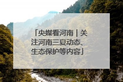 央媒看河南｜关注河南三夏动态、生态保护等内容