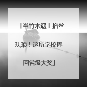 当竹木遇上掐丝珐琅！这所学校捧回省级大奖