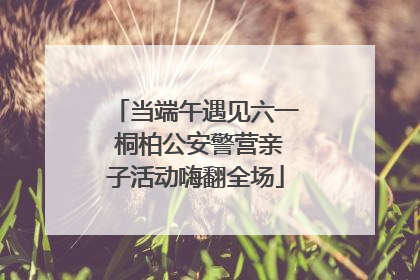 当端午遇见六一 桐柏公安警营亲子活动嗨翻全场