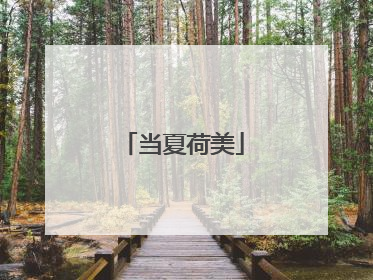 当夏荷美